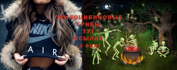 а пвп мука Ладушкин