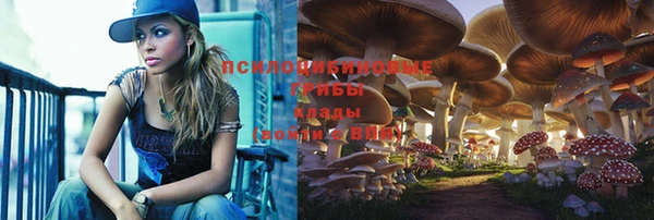 а пвп мука Ладушкин