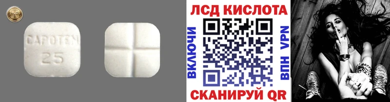 Купить где  Шацк  LSD-25 экстази кислота 